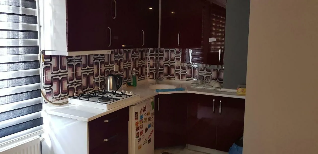 7 Tepe Asya Suite Atasehir Istanbul 0*,